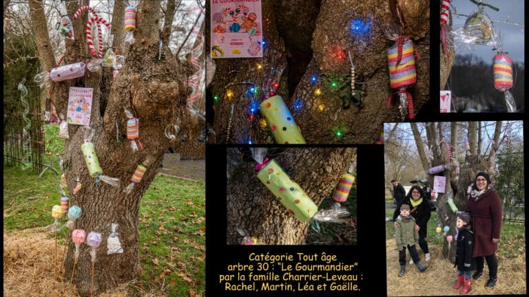 Fête - photos D montage arbre 30